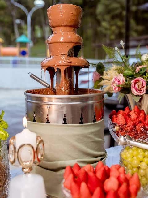 Carrinhos Gourmet 4